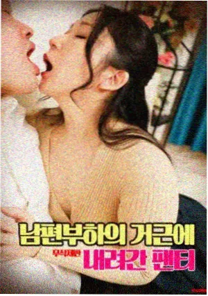 图鉴扩容公告配图